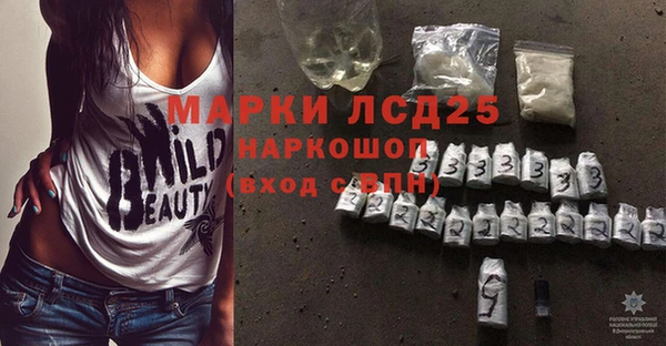 прущие грибы Балабаново