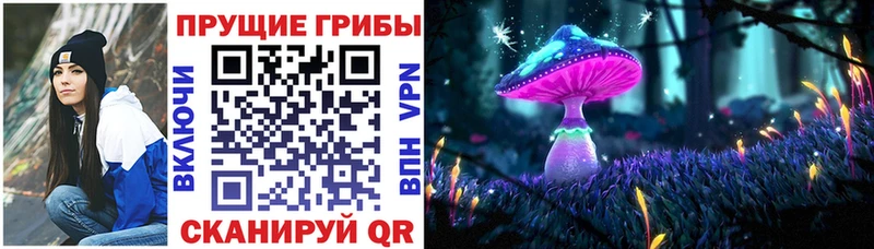 где купить наркоту  shop официальный сайт  Псилоцибиновые грибы Psilocybe  Мценск 
